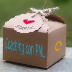 formacion-coaching-con-pnl