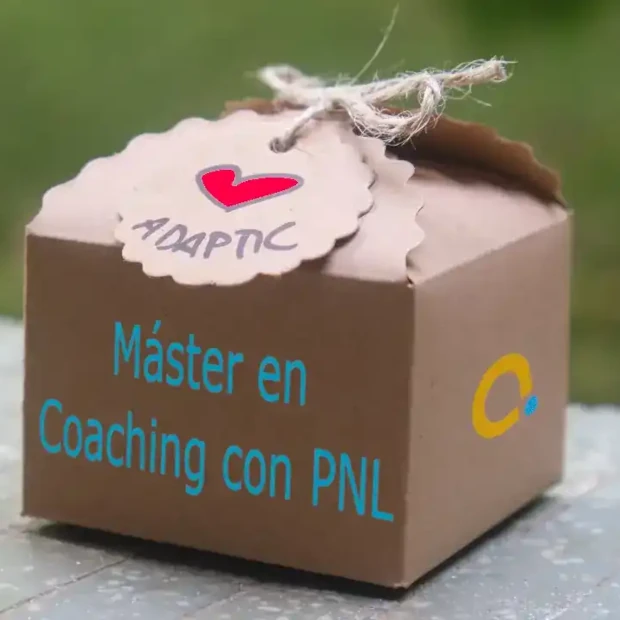 formacion-master-en-coaching-con-pnl